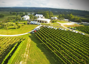 vineyards in Texas